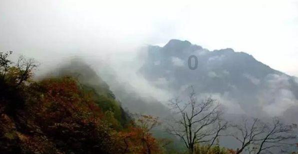 愤怒的小鸟