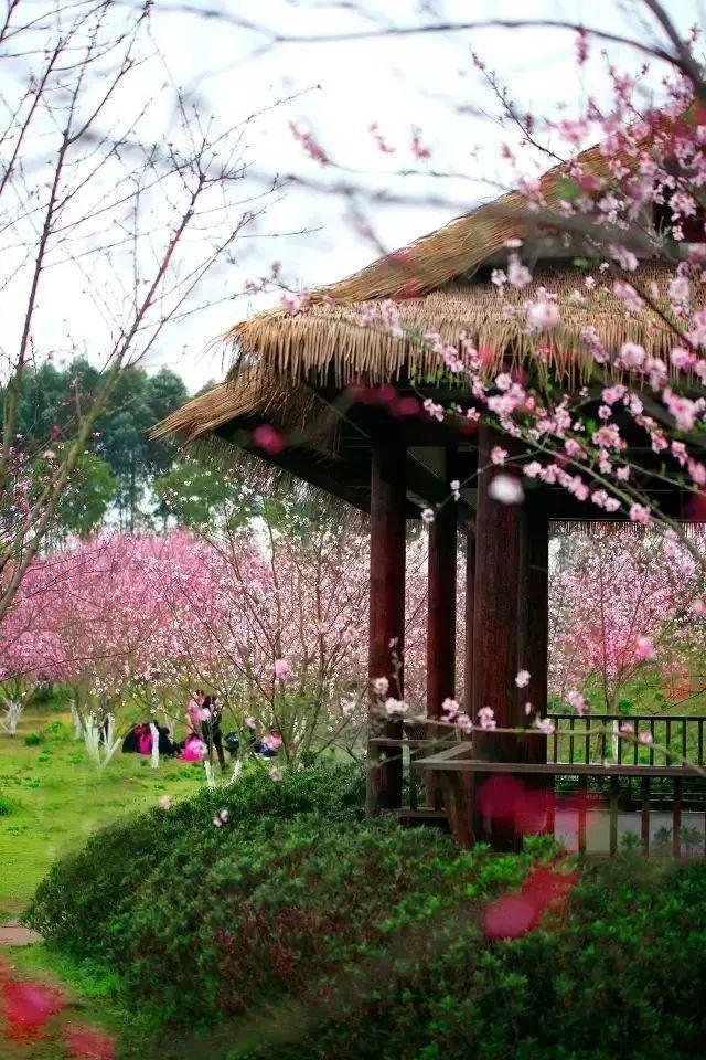 中国留学市场盘点：理工科美加日德热门，英国澳洲法国商科居首位