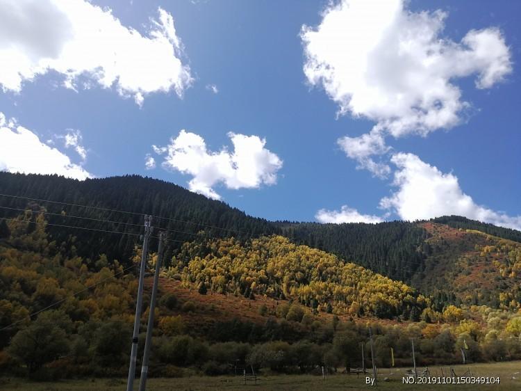 迎龙年享年味,生肖龙花馍龙,迎龙年各地花式“寻龙”
