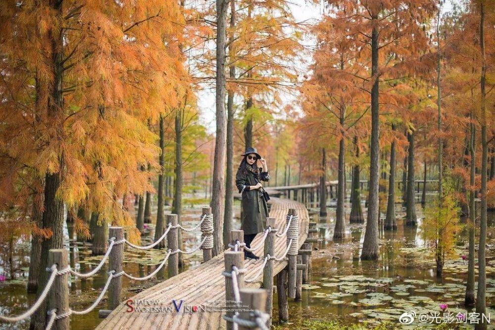 苹果11和苹果12哪个好?-专业问答网站