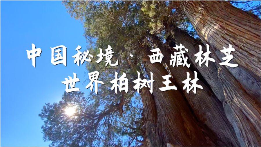 娶湖南女人享背时人生什么意思？游戏画面