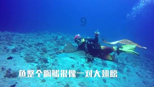 镇江三部门联合约谈道路运输高风险企业