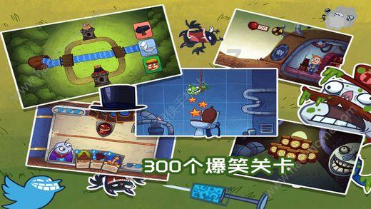 宠物世界聚会