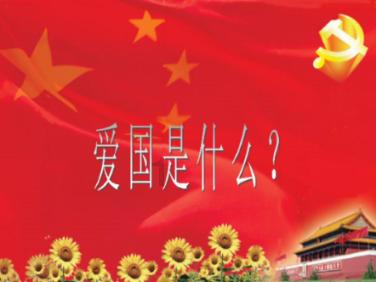 逃离野鸡森林