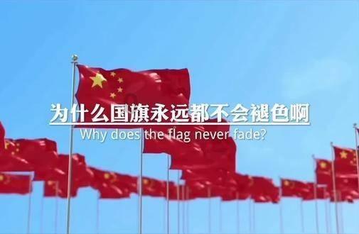 燃烧的蔬菜4新鲜战队