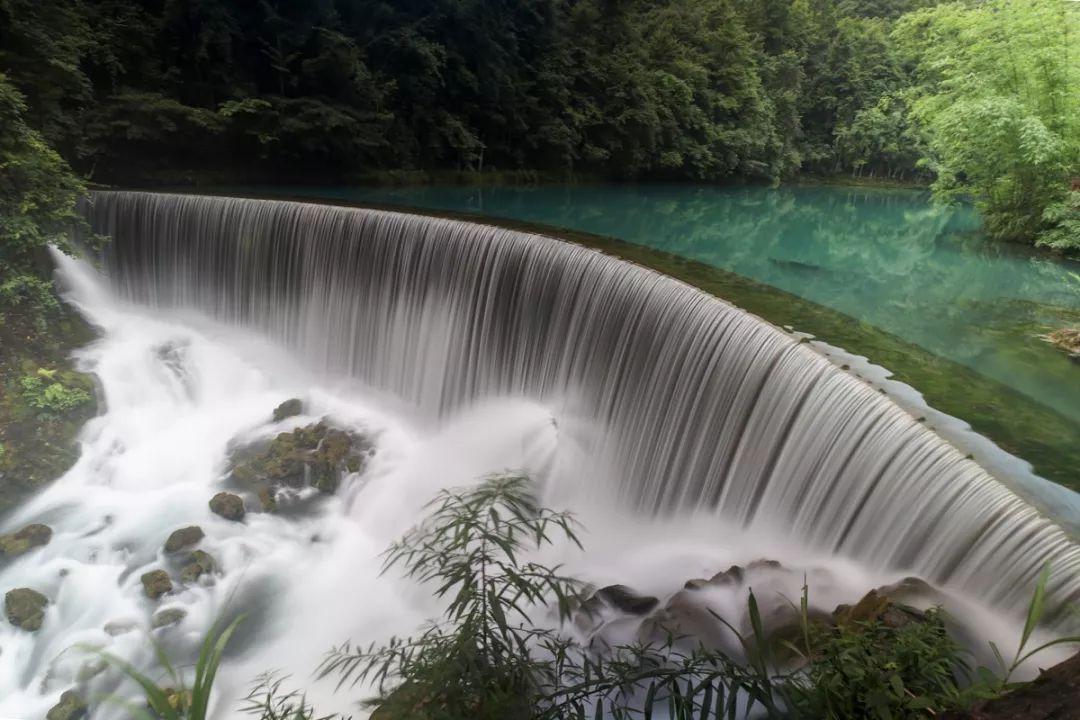 组装机械章鱼龙