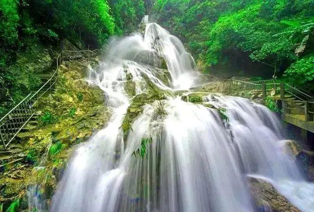 “金鸡”现身山西沁水