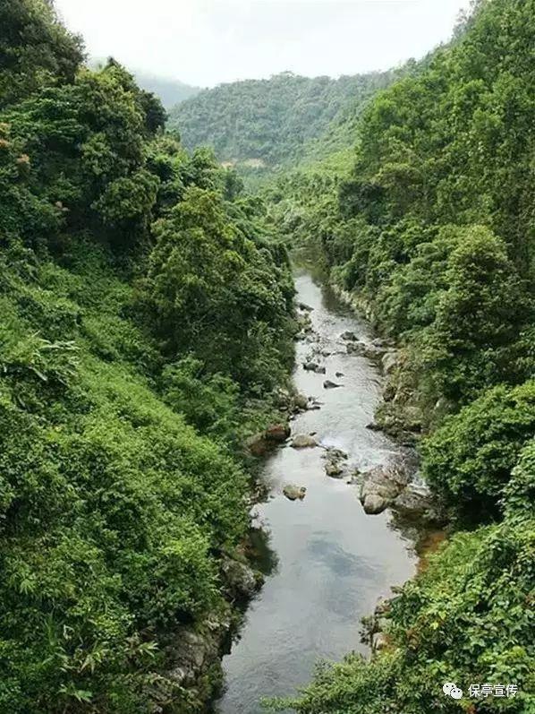 清凉夏日冰淇淋