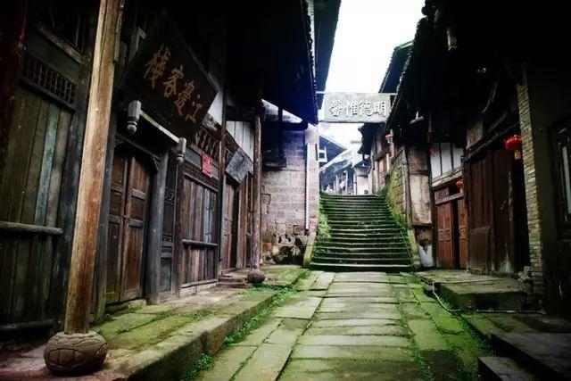 小猫钓鱼正版下载中文版