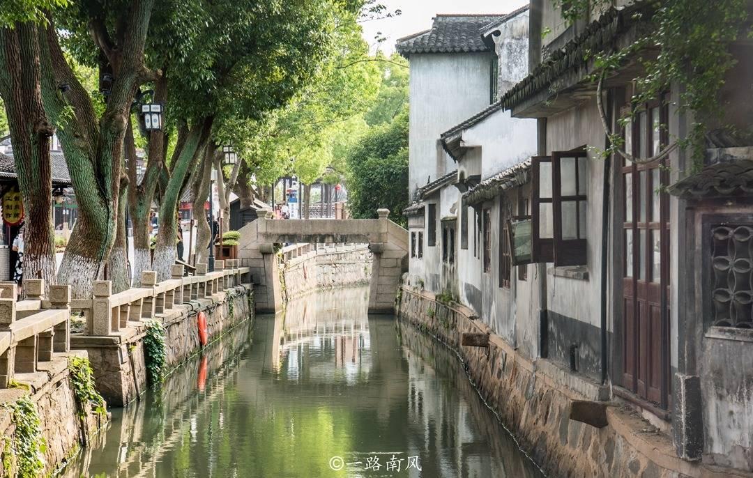 2024国家唯一承认的防脱洗发水,我总算不怕脱发了