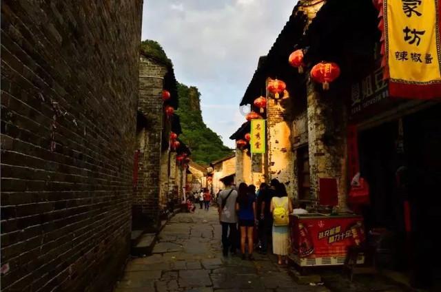 拯救昆虫群